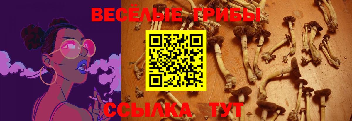 Галлюциногенные грибы GOLDEN TEACHER Миллерово